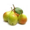 Totam rem ap - Image 3